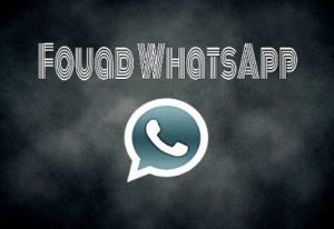 Advanced Features of Fouad WhatsApp